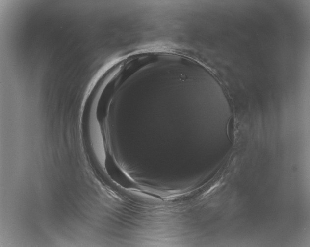 X0000056370200200509232207