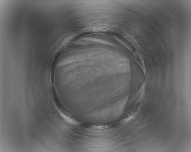 X0000056370205200509232207