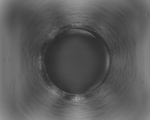 X0000056370223200509232207