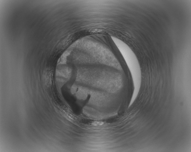 X0000056370227200509232207