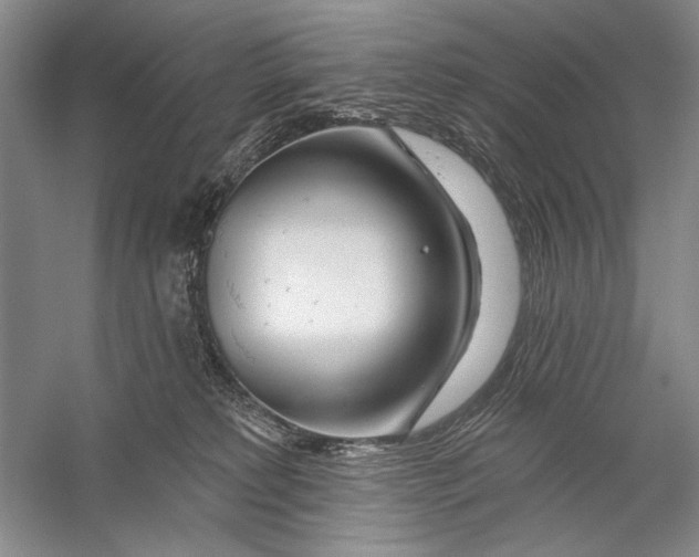 X0000056370229200509232207