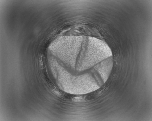 X0000056370232200509232207