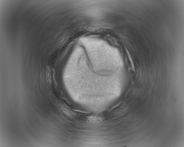 X0000056370234200509232206