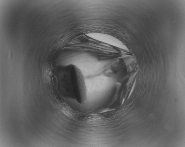 X0000056370235200509232206