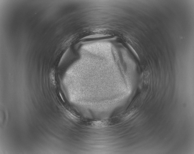 X0000056370238200509232206