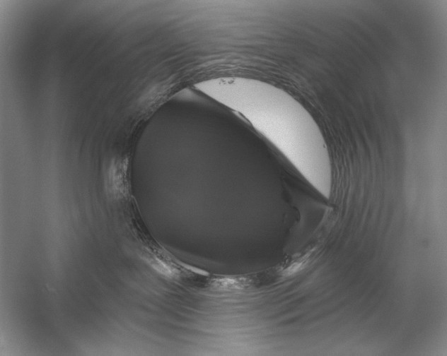 X0000056370239200509232206