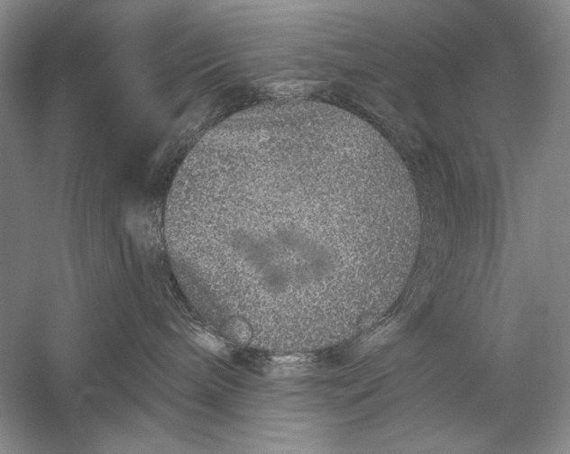 X0000056370240200509232206