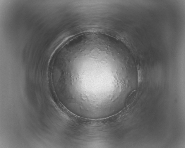 X0000056370243200509232206