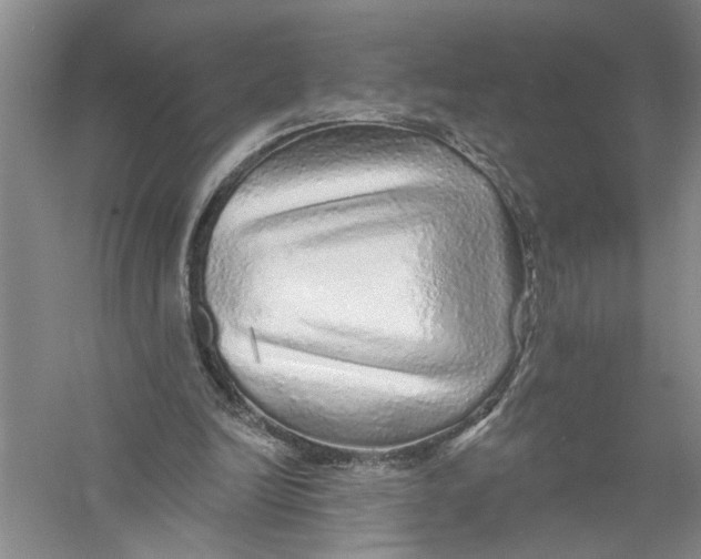 X0000056370246200509232206