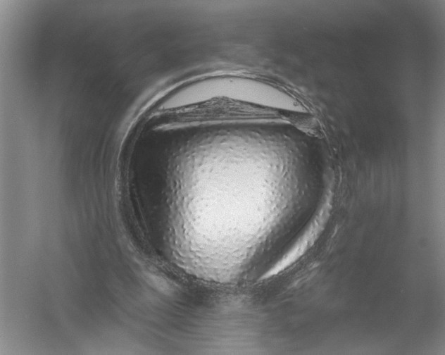 X0000056370247200509232206