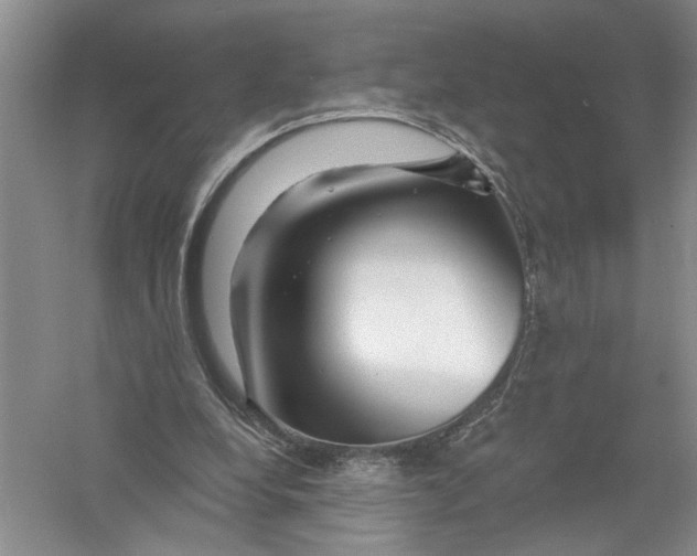 X0000056370248200509232206