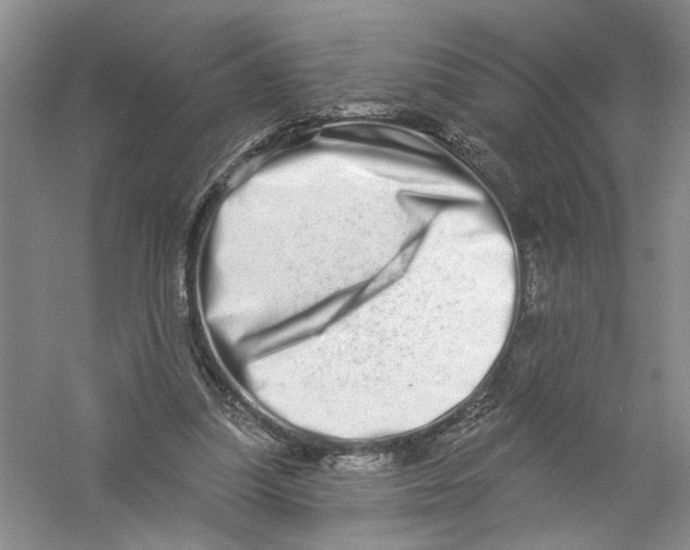 X0000056370251200509232206