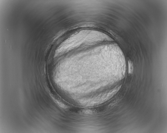 X0000056370253200509232206
