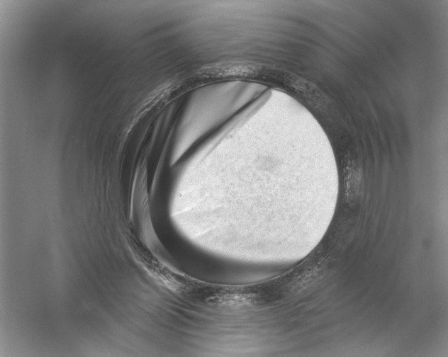 X0000056370254200509232206