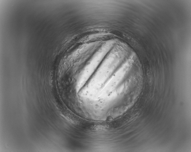 X0000056370255200509232206