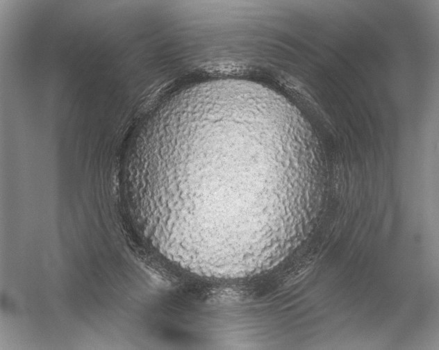 X0000056370259200509232206
