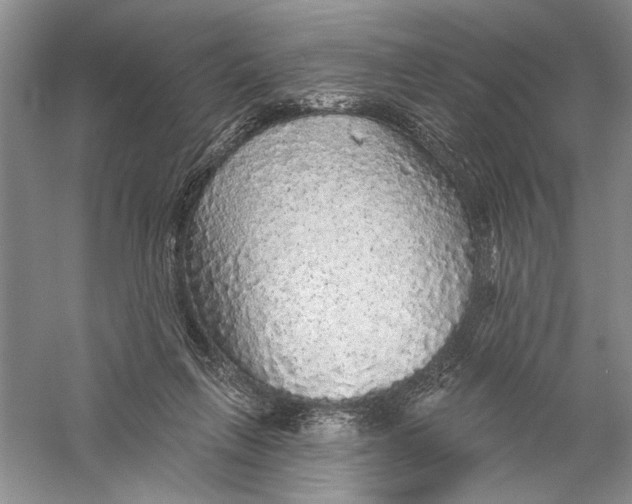 X0000056370263200509232206