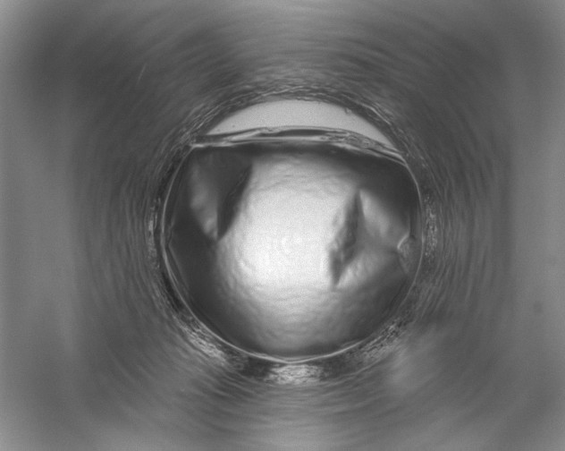 X0000056370269200509232206