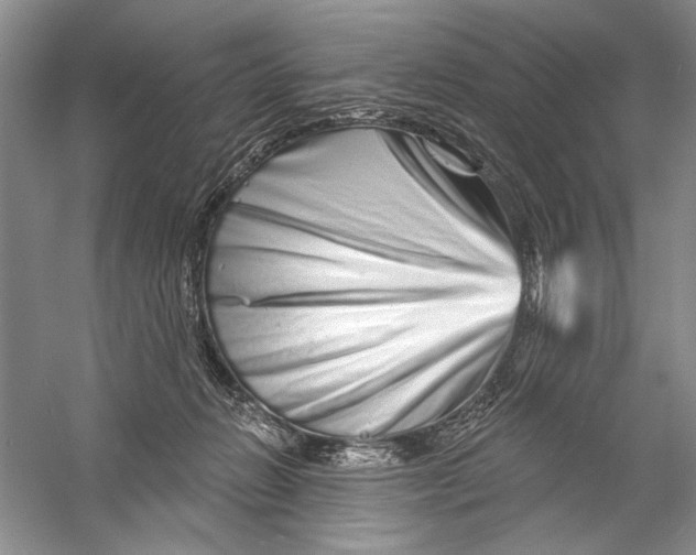 X0000056370270200509232206