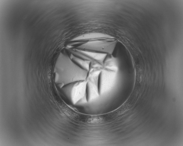 X0000056370274200509232206