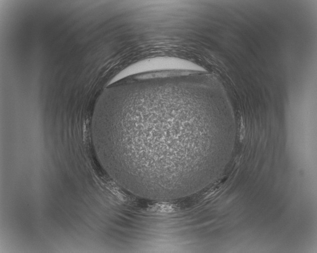 X0000056370276200509232206