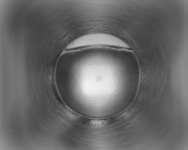 X0000056370277200509232206