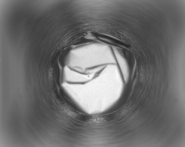 X0000056370278200509232206