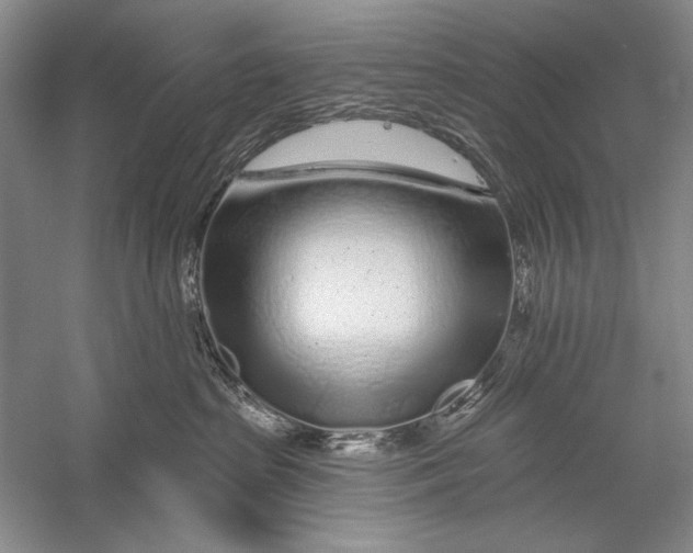 X0000056370285200509232206