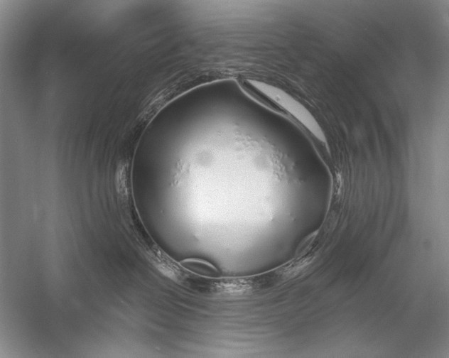 X0000056370286200509232206