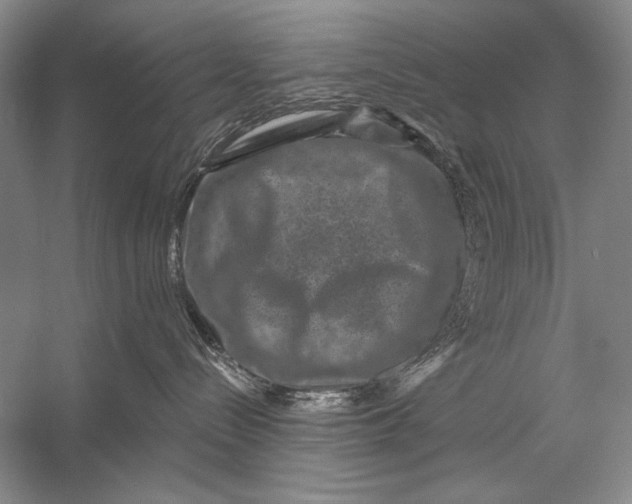 X0000056370288200509232206