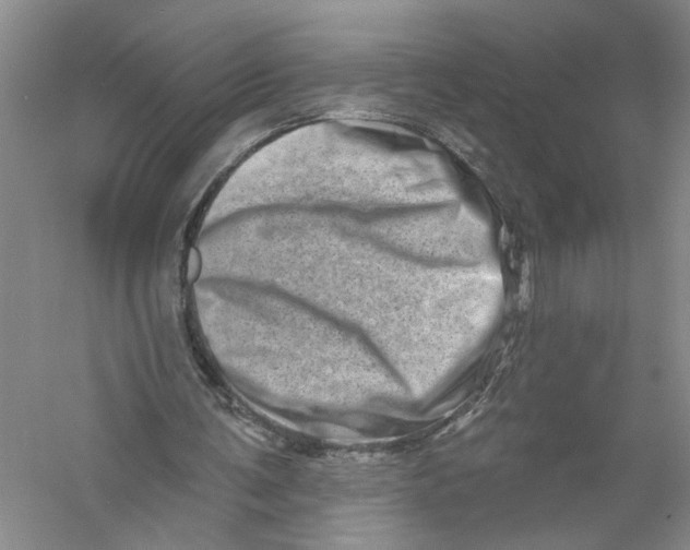 X0000056370291200509232206
