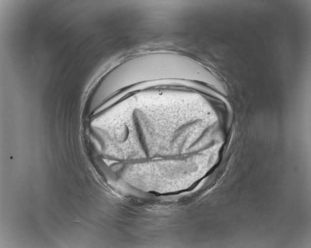 X0000056370293200509232205