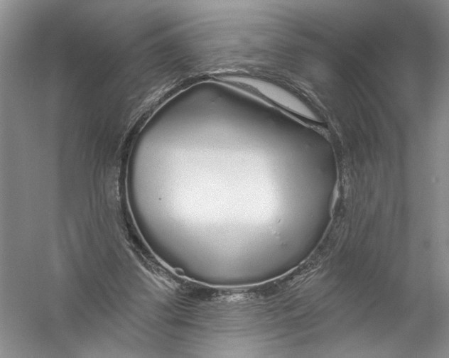X0000056370299200509232205