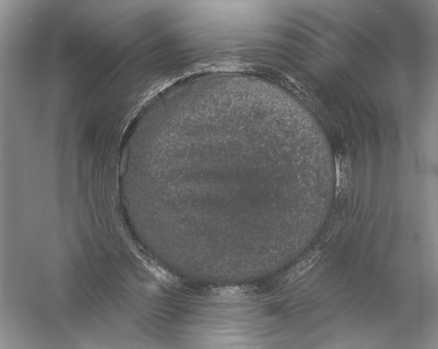 X0000056370301200509232205