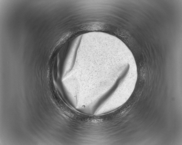 X0000056370304200509232205