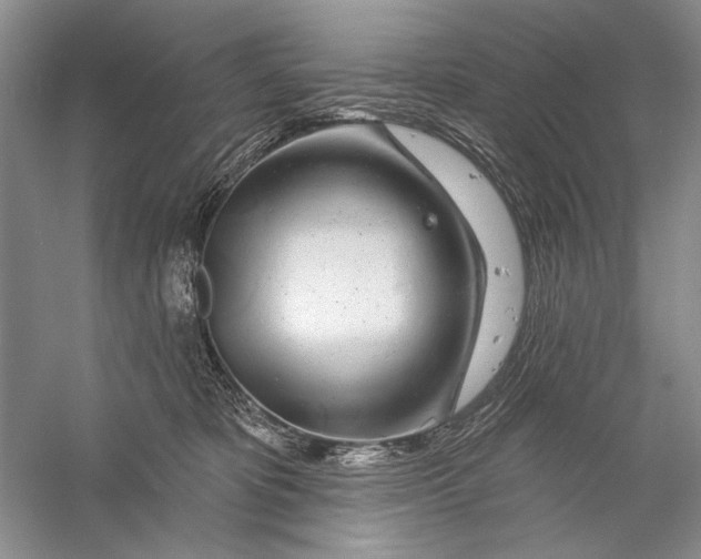 X0000056370325200509232205