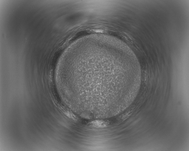 X0000056370326200509232205
