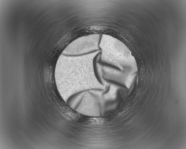 X0000056370328200509232205