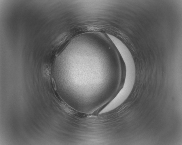 X0000056370329200509232205