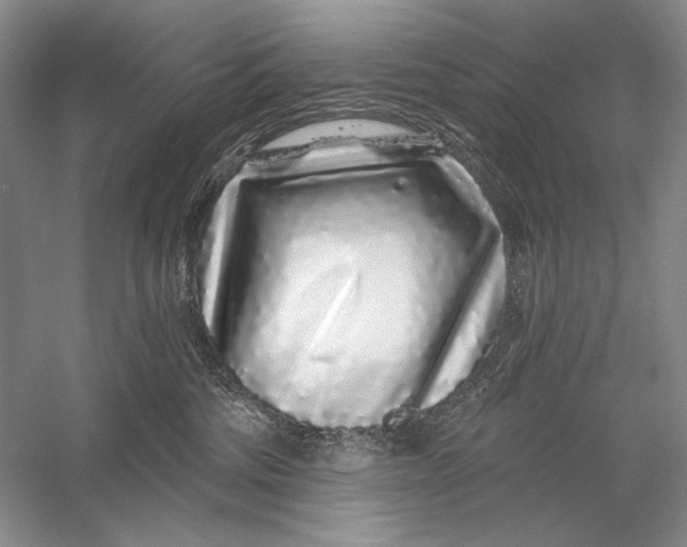X0000056370330200509232205