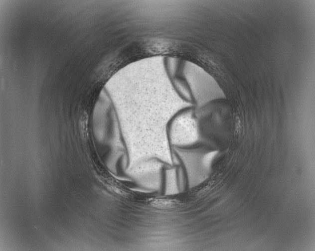 X0000056370332200509232205