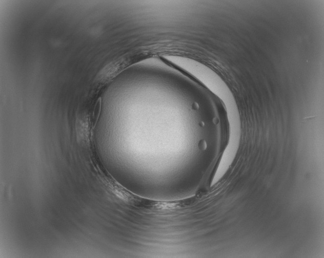 X0000056370333200509232205