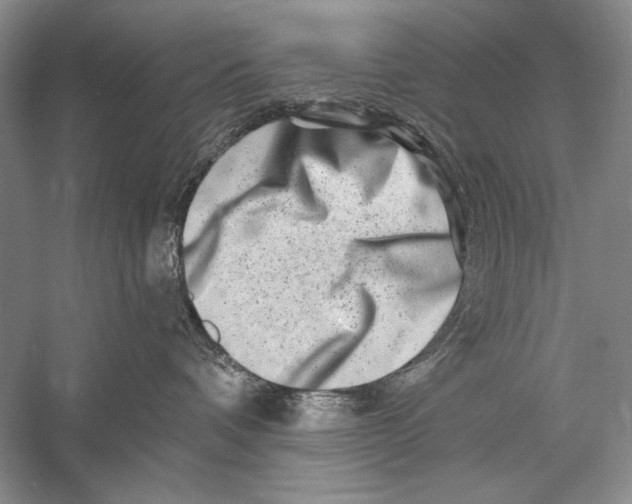 X0000056370336200509232205