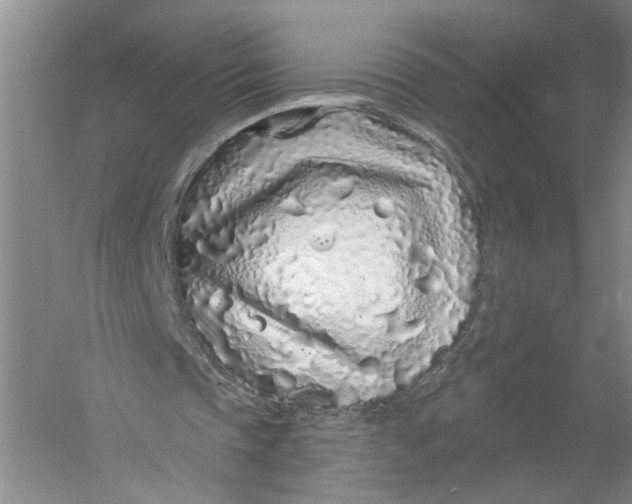 X0000056370337200509232204