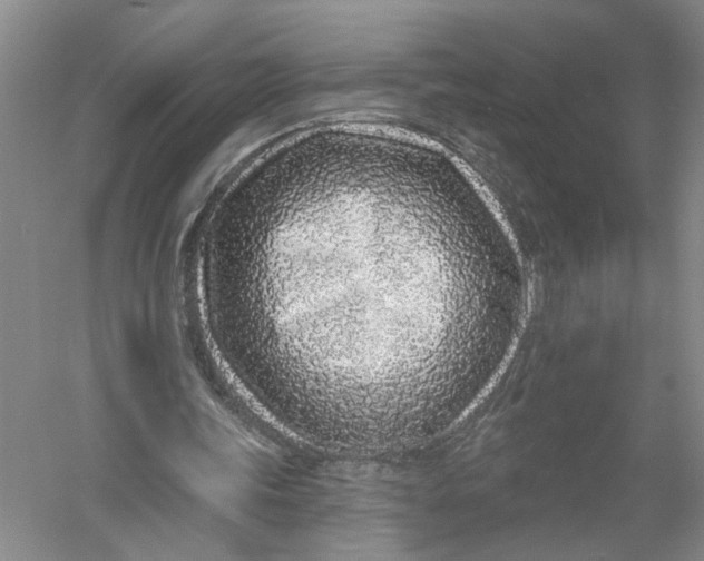 X0000056370339200509232204