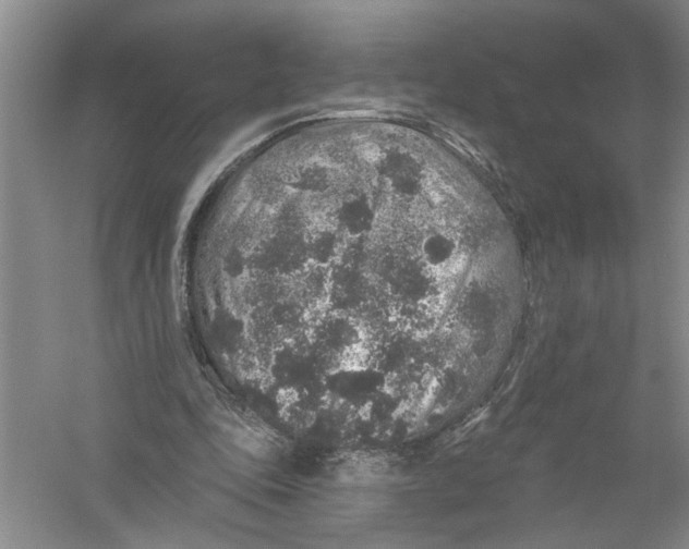 X0000056370343200509232204