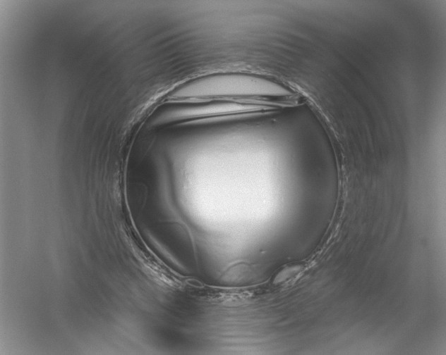 X0000056370345200509232204