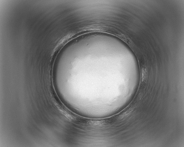 X0000056370349200509232204