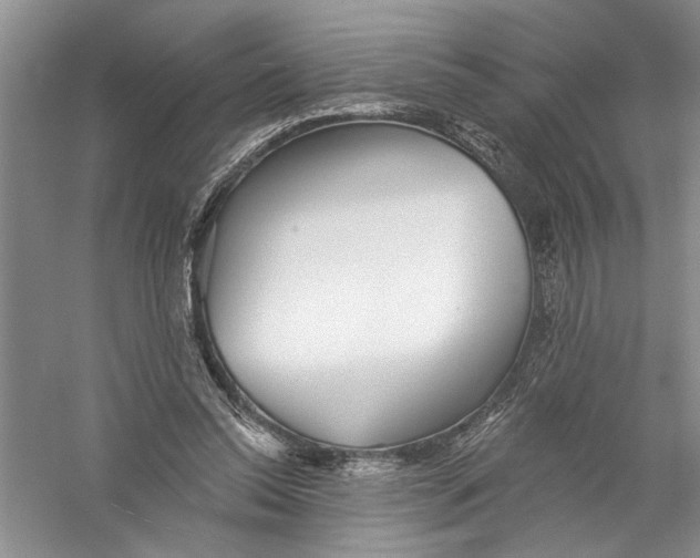 X0000056370350200509232204