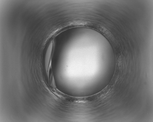 X0000056370352200509232204